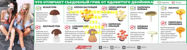 a pvp Ладушкин