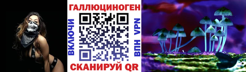 Галлюциногенные грибы Psilocybine cubensis  Новокузнецк 