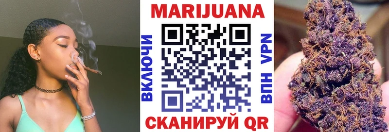 где можно купить наркотик Новокузнецк Шишки марихуана планчик